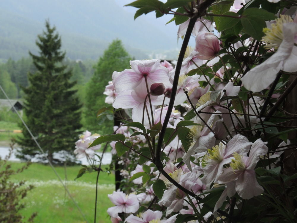 B&B Pranzaira Vicosoprano Exteriör bild